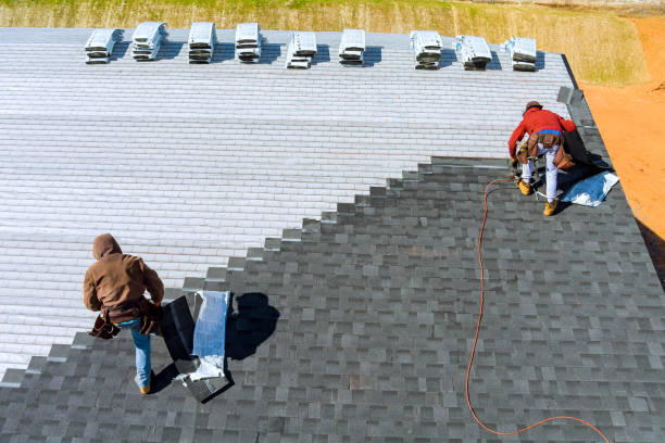 Best Roof Gutter Cleaning  in Shenandoah Heights, PA